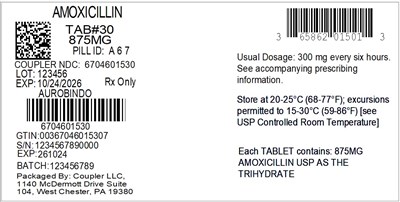 Label (65862 015 01 Amoxicillin 875mg 67046 015 30)